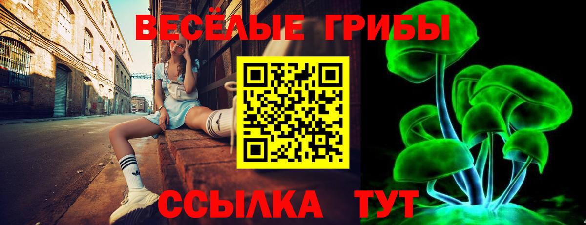 Псилоцибиновые грибы прущие грибы Железногорск