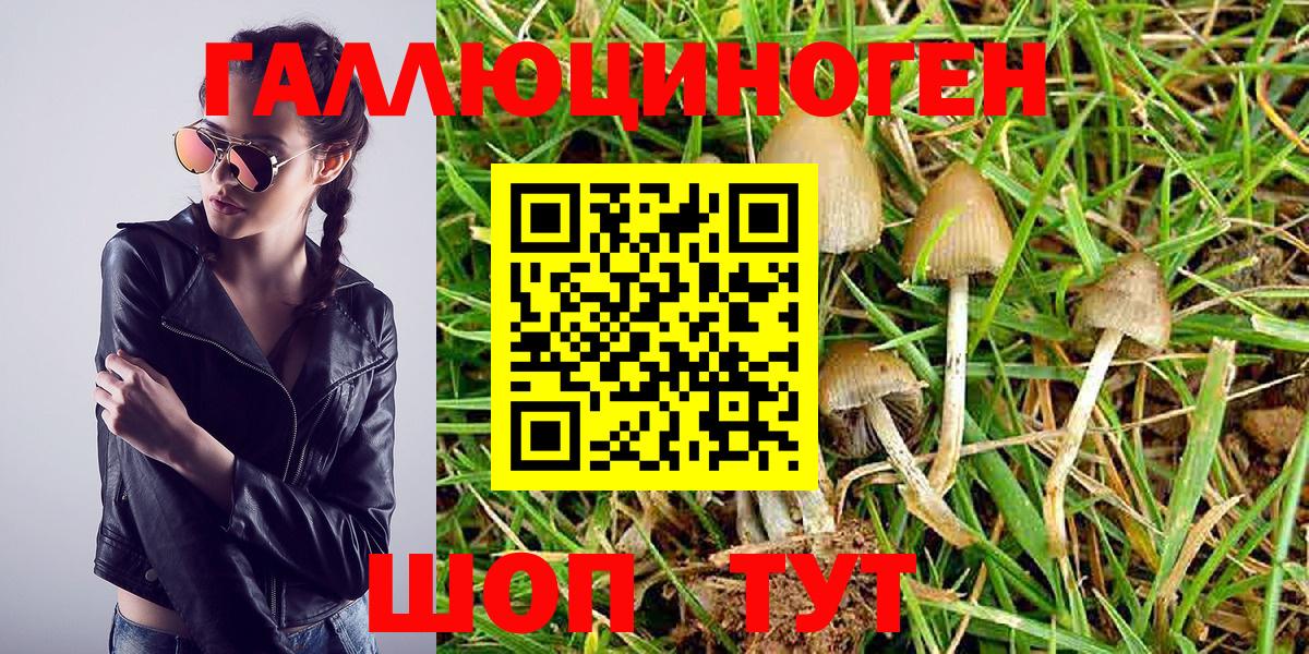 Галлюциногенные грибы MAGIC MUSHROOMS  Вход с VPN  Железногорск 